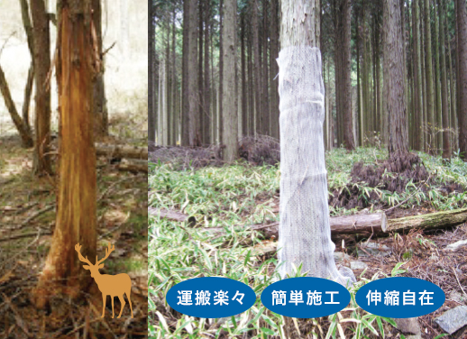 獣害対策資材の成木保護ネットはシカによる樹皮の食害、クマの樹皮剥ぎ対策に有効