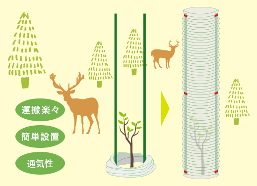 獣害対策資材のスパイラルグリーンはシカによる幼木苗木の食害対策に有効です