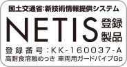 NETIS