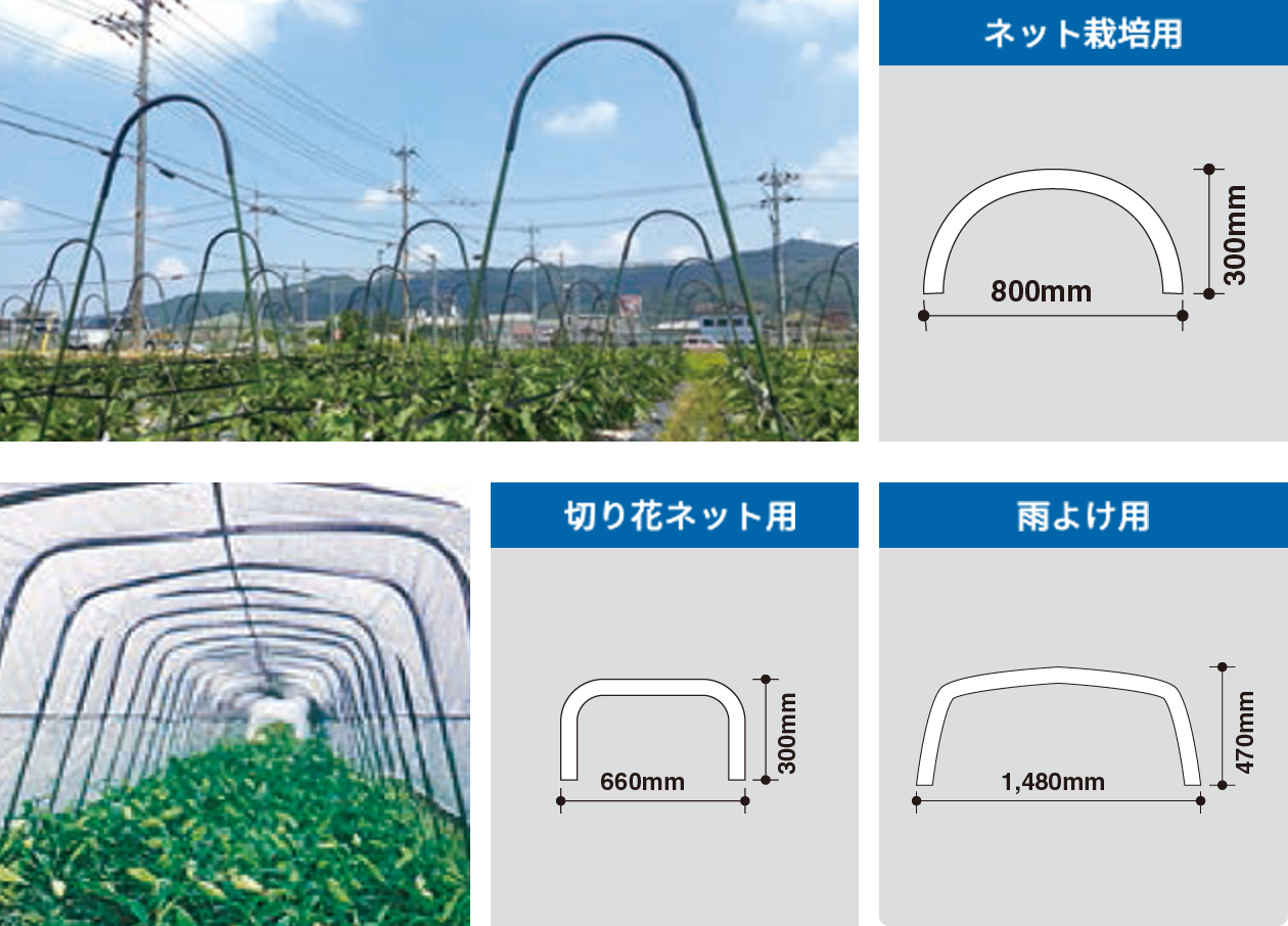 ット栽培例