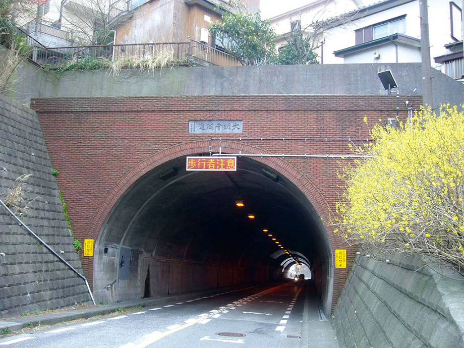 オプトマーカーⅣ横型