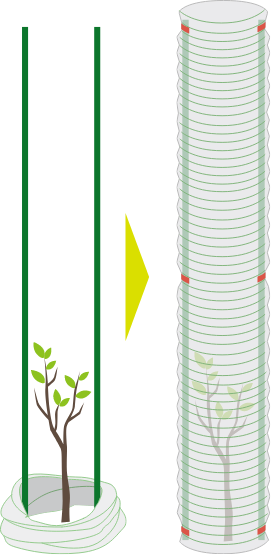 積水樹脂の獣害対策製品、蛇腹式の幼齢木保護チューブ「スパイラルグリーン」施工方法