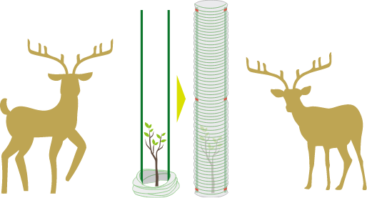 積水樹脂の獣害対策製品、蛇腹式の幼齢木保護チューブ「スパイラルグリーン」